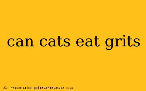 can cats eat grits