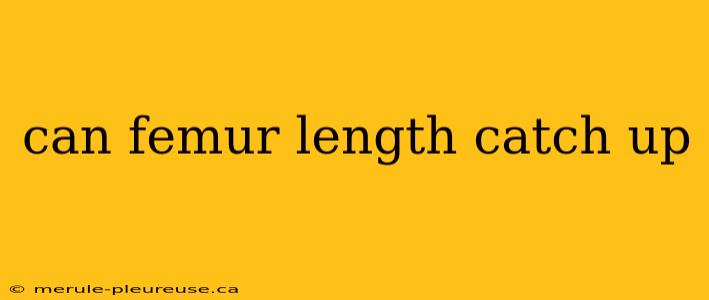 can femur length catch up