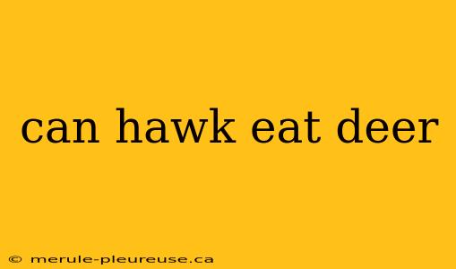 can hawk eat deer