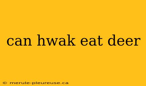 can hwak eat deer