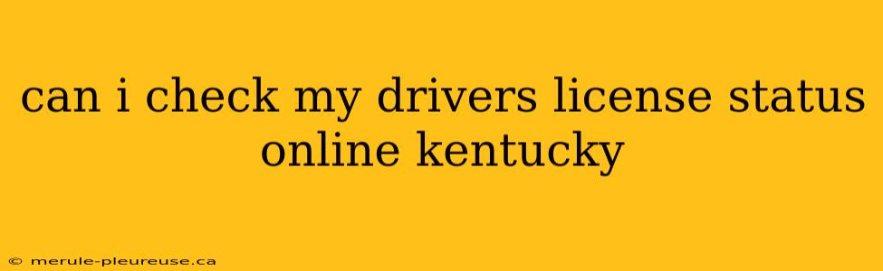 can i check my drivers license status online kentucky