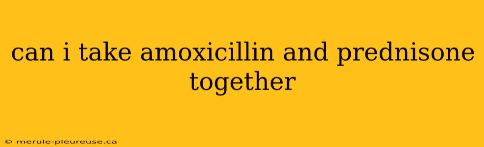 can i take amoxicillin and prednisone together