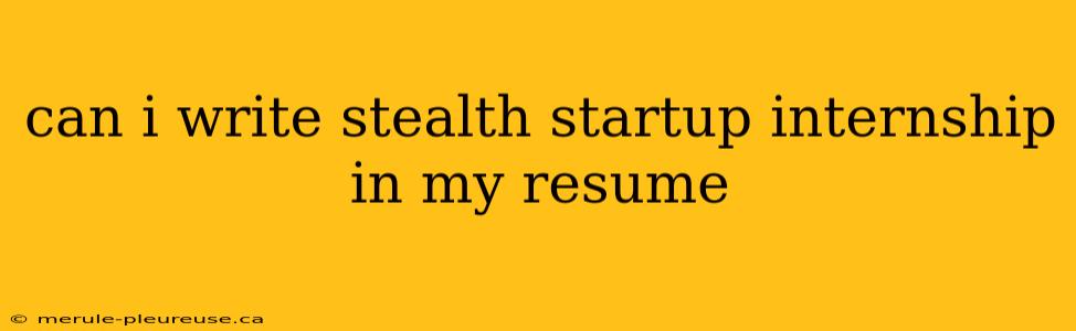 can i write stealth startup internship in my resume