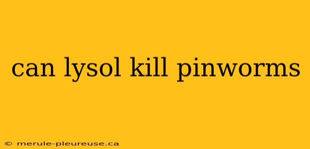 can lysol kill pinworms