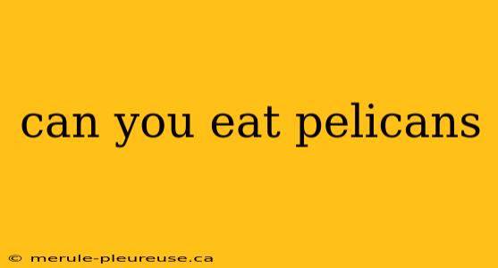 can you eat pelicans