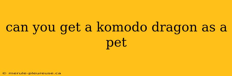 can you get a komodo dragon as a pet