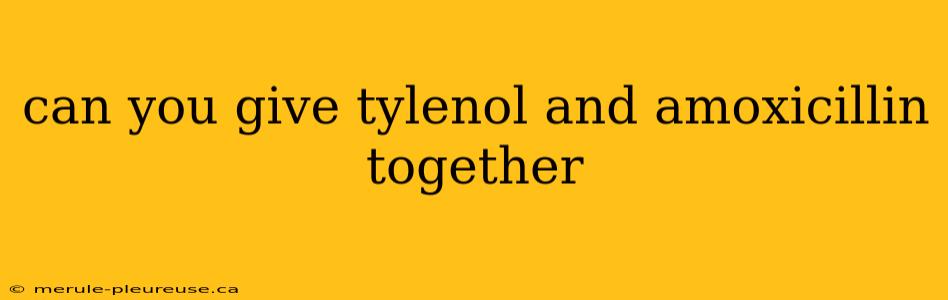 can you give tylenol and amoxicillin together