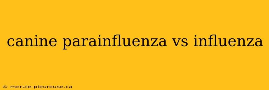 canine parainfluenza vs influenza