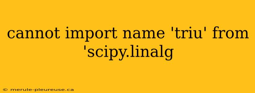 cannot import name 'triu' from 'scipy.linalg