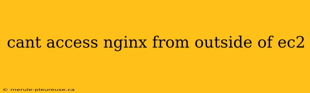 cant access nginx from outside of ec2