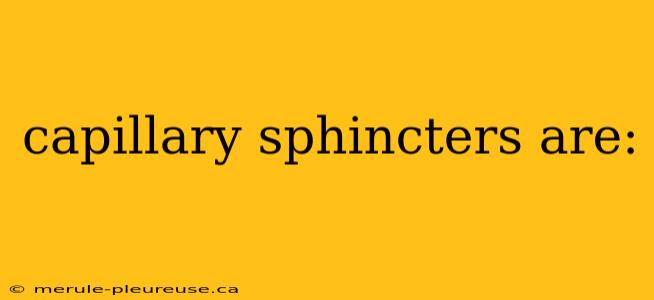 capillary sphincters are: