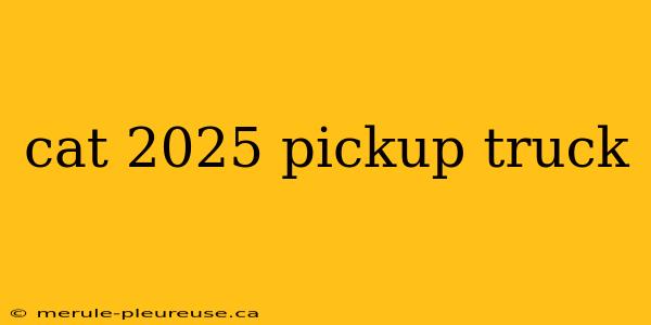 cat 2025 pickup truck