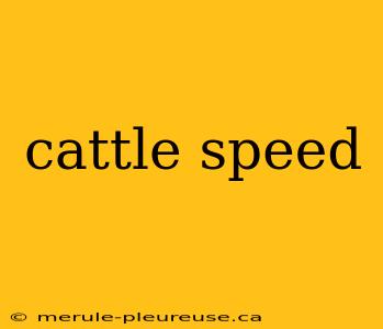 cattle speed