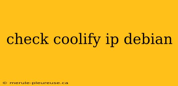 check coolify ip debian