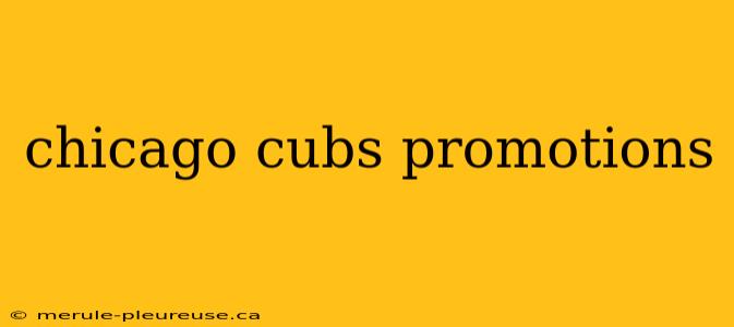 chicago cubs promotions