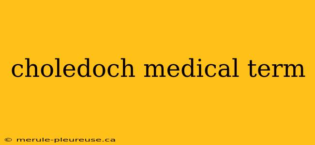 choledoch medical term