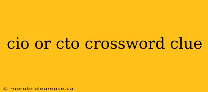 cio or cto crossword clue