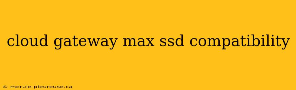 cloud gateway max ssd compatibility