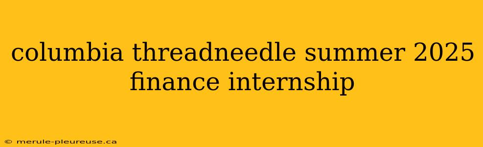 columbia threadneedle summer 2025 finance internship