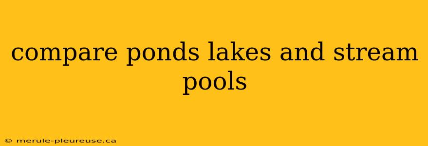 compare ponds lakes and stream pools