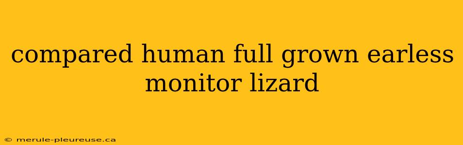 compared human full grown earless monitor lizard