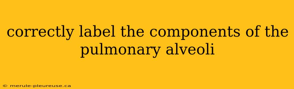 correctly label the components of the pulmonary alveoli