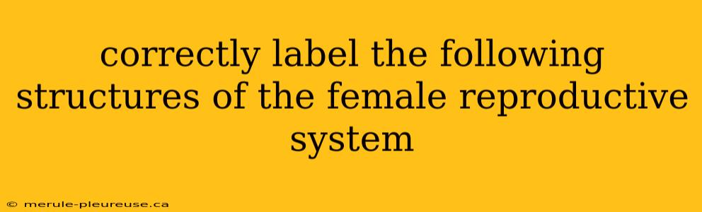 correctly label the following structures of the female reproductive system