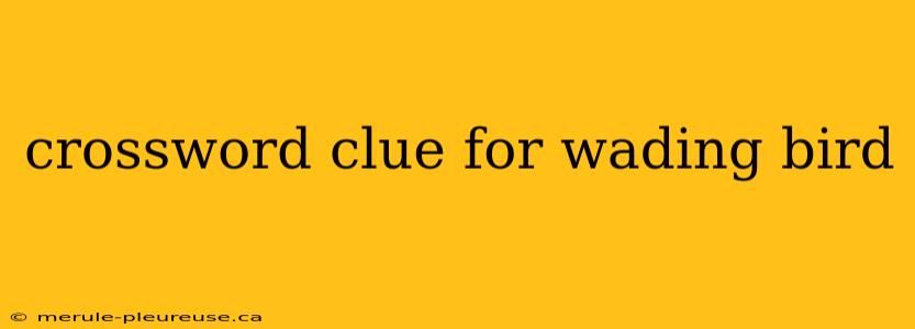 crossword clue for wading bird