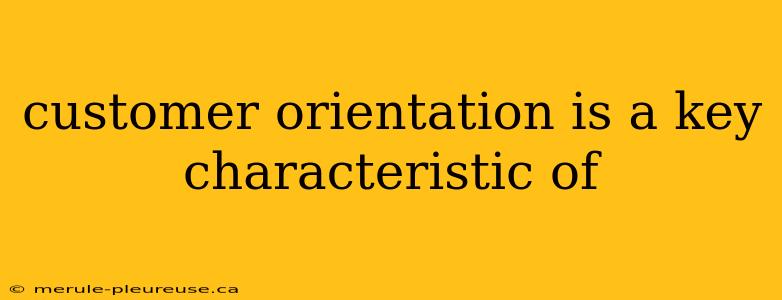 customer orientation is a key characteristic of