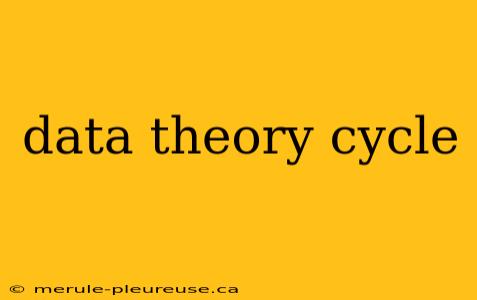 data theory cycle