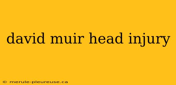 david muir head injury