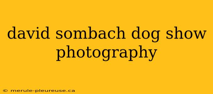 david sombach dog show photography