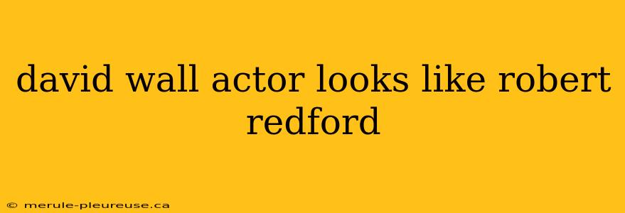 david wall actor looks like robert redford