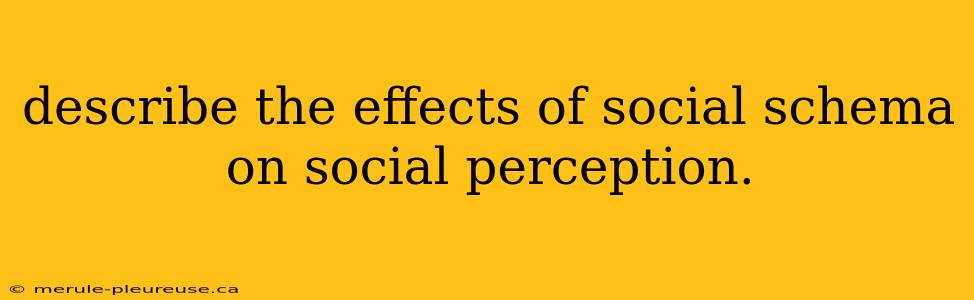 describe the effects of social schema on social perception.