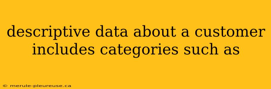 descriptive data about a customer includes categories such as