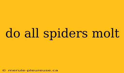 do all spiders molt