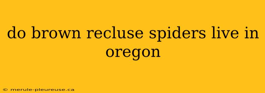 do brown recluse spiders live in oregon