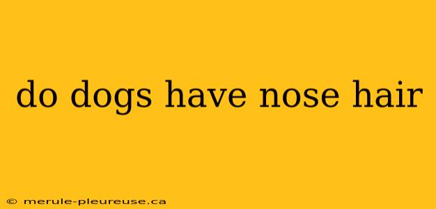 do dogs have nose hair