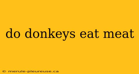 do donkeys eat meat