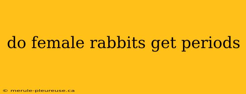 do female rabbits get periods