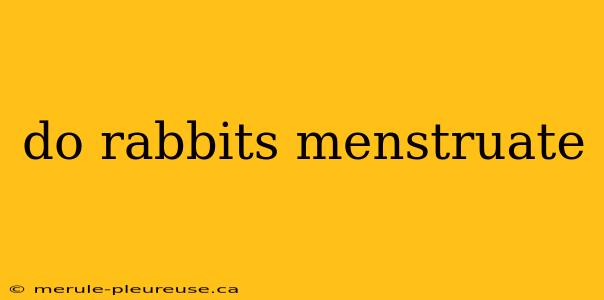 do rabbits menstruate