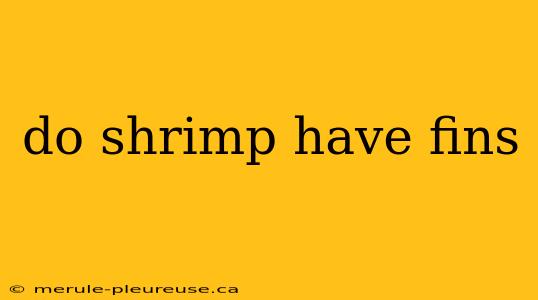 do shrimp have fins