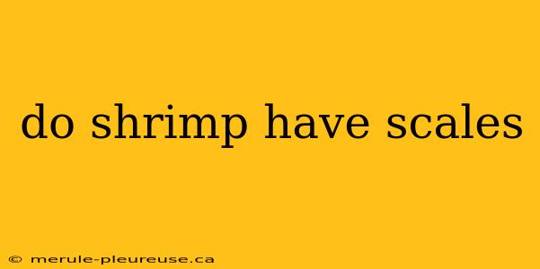 do shrimp have scales