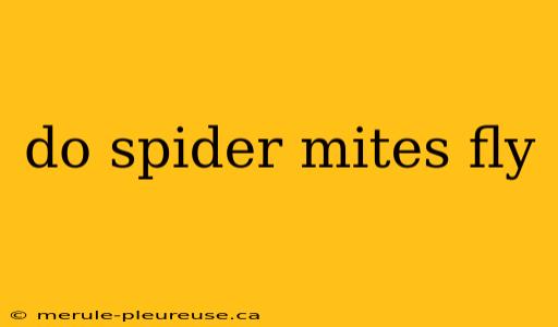 do spider mites fly