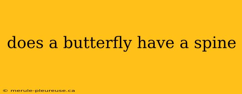 does a butterfly have a spine