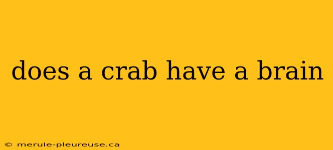 does a crab have a brain