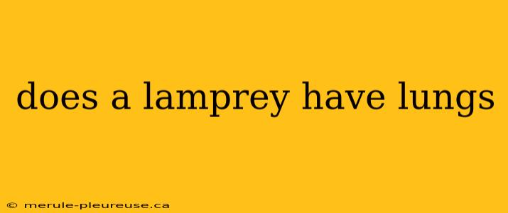 does a lamprey have lungs