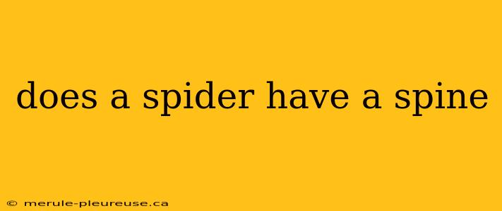 does a spider have a spine