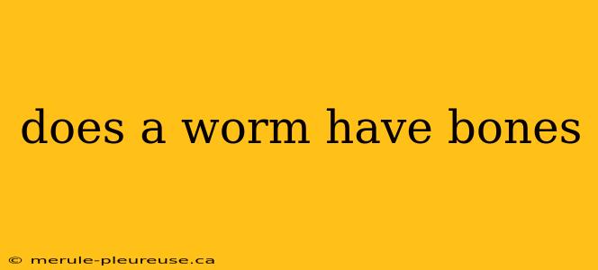 does a worm have bones