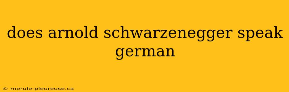 does arnold schwarzenegger speak german